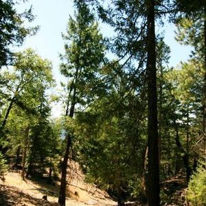 Meet your Posher, Peggy